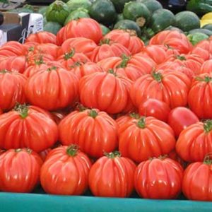 tomate arawak, solanum lycopersicum