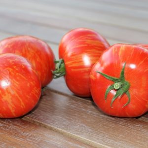 Tomate botanique groseille rouge (Solanum pimpinellifolium