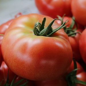 Slicer Tomato, Rose De Berne