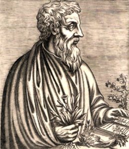 Pedanius Dioscoride - Le premier médecin à décrire la consoude