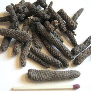 Piper longum - Fruits mûrs de poivre long