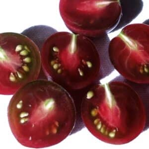 Graines de Solanum lycopersicum, graines de Tomate 'Black cherry Russian', Tomate cerise russe