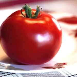 Graines de Solanum lycopersicum, Graines de Tomate Saint-Pierre